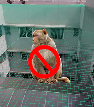 Monkey Net For Balconies